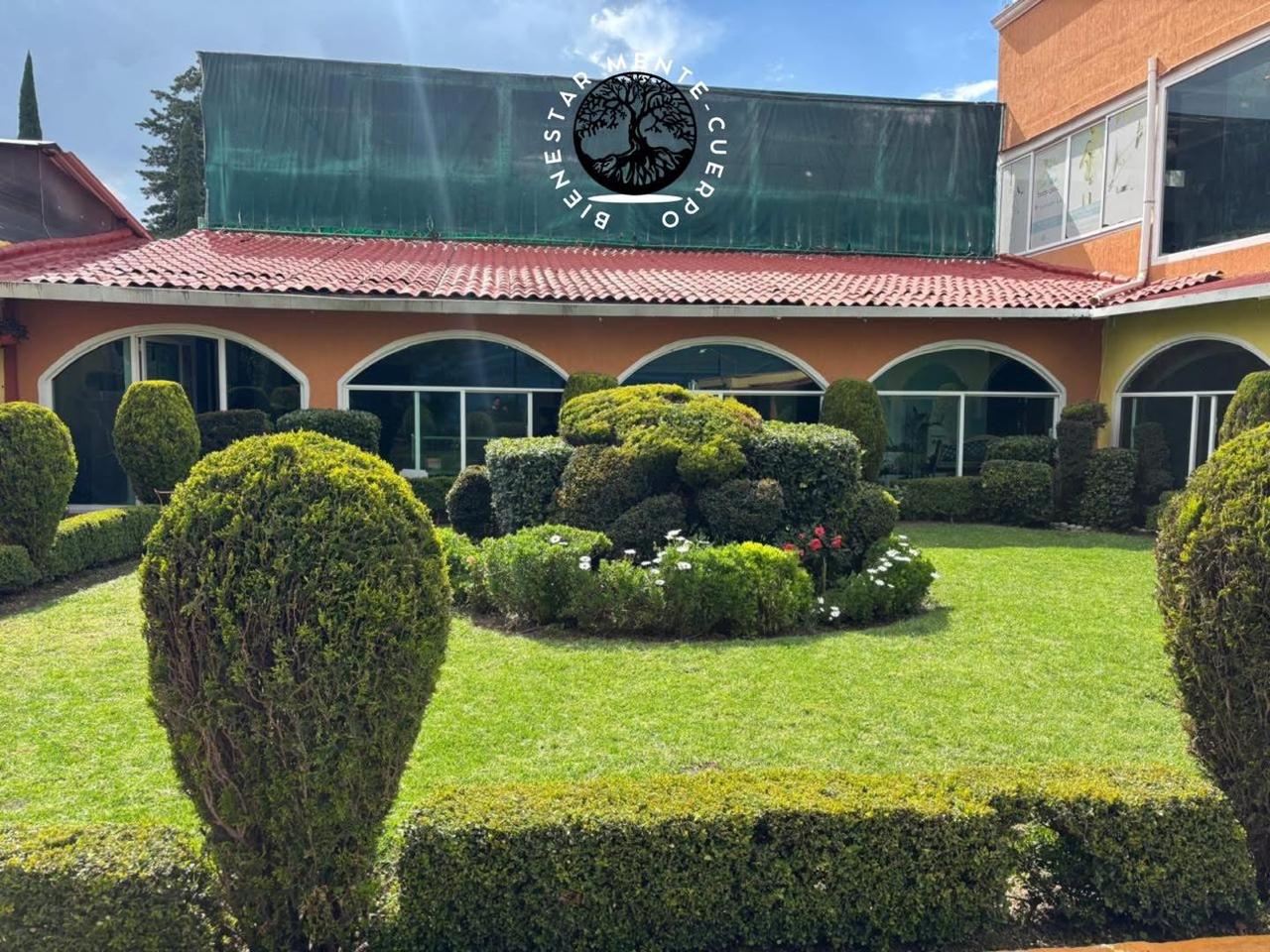 Psicología holística